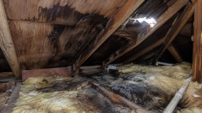 Roof Tarping Cost: What You Are Actually Paying For